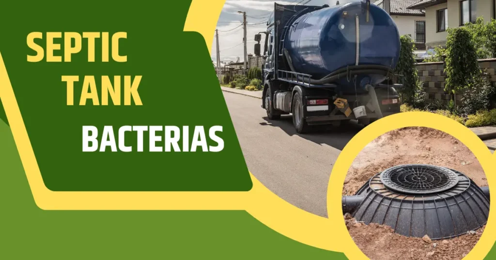Septic Tank Bacteria